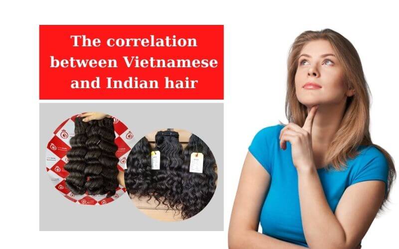 The correlation between Vietnamese and Indian hair