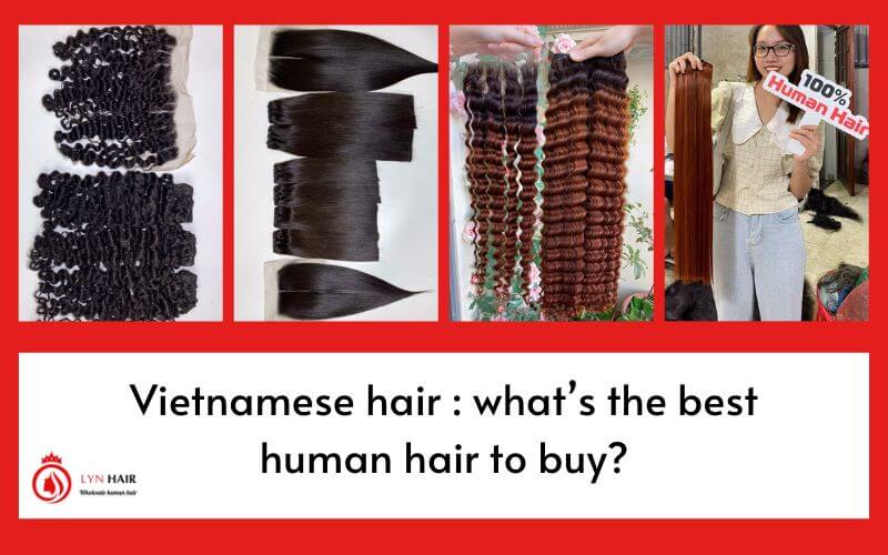 Vietnamese hair what’s the best human hair to buy